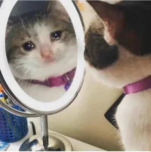 Стикер @BB_XT's TeleBot Vol.1 - 6