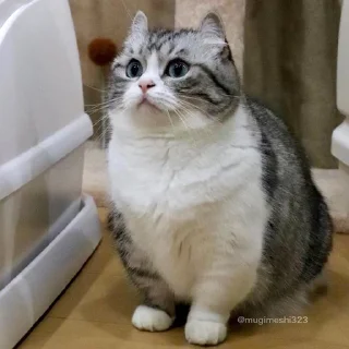 Стикер Oleg's pack - 5