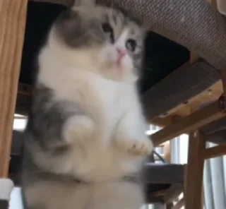 Стикер Oleg's pack - 8