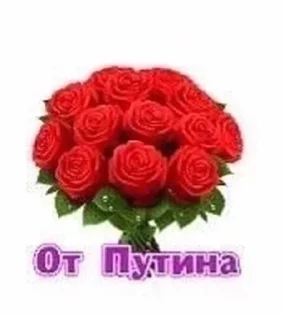 Стикер Соси жопу by @offstikbot - 7