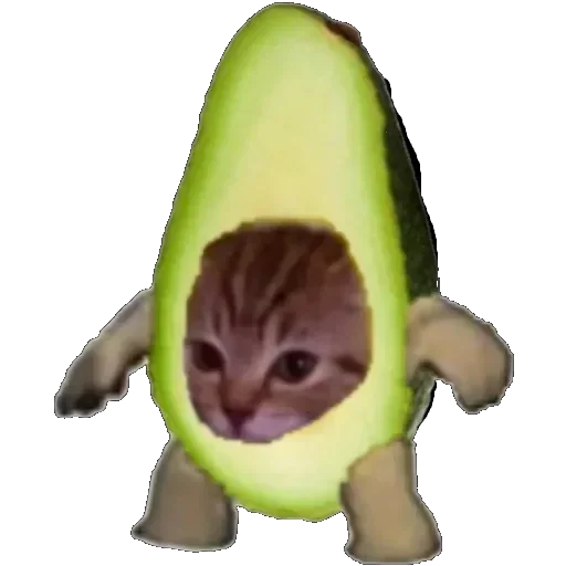 Ciel Steal Pack - human face