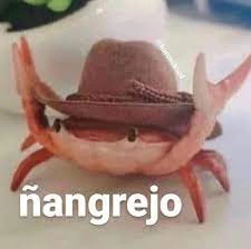 text animal invertebrate