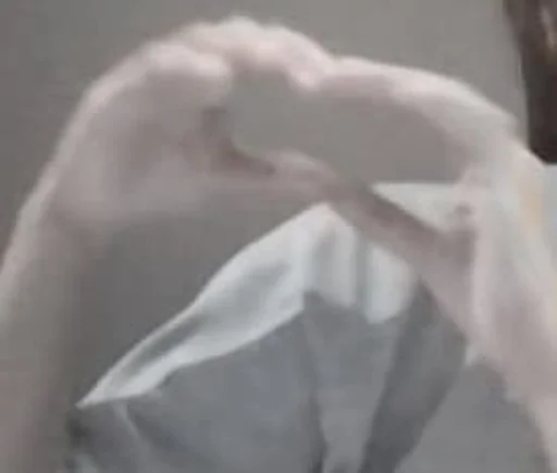 sushi sashiming's pack - 