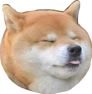 Стикер sushi sashiming's pack - 1