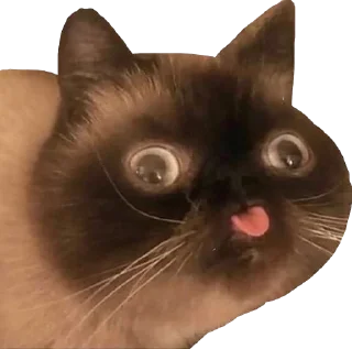 Стикер sushi sashiming's pack - 0