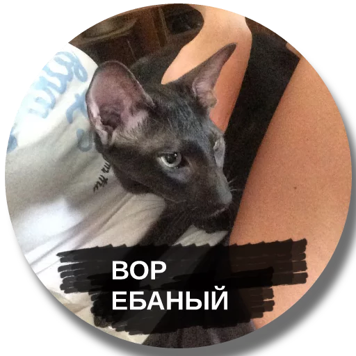 Стикер A1most_over - 8