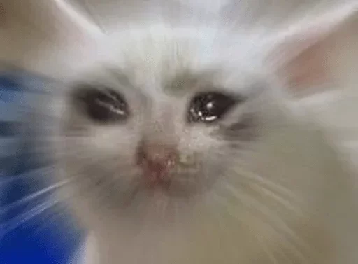 @hollow_white's userbot pack 1 - 