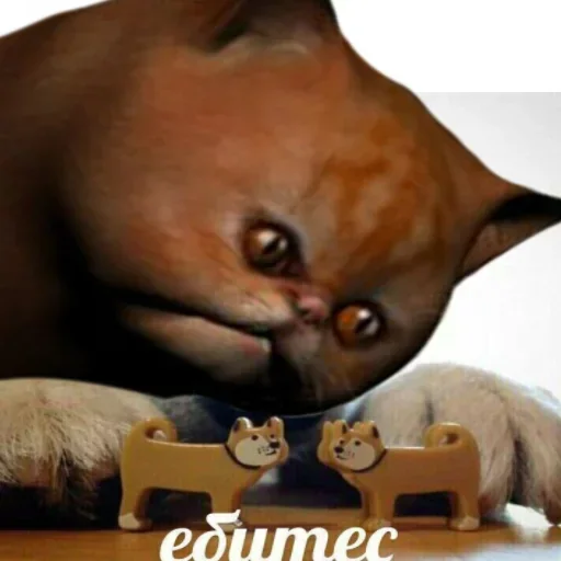 @hollow_white's userbot pack 2 - 