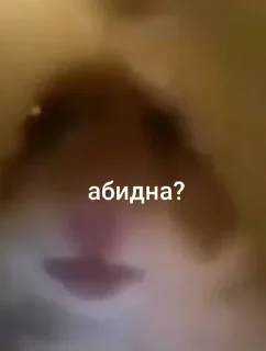 Стикер @hollow_white's kang pack Vol.4 - 0