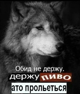 Стикер @hollow_white's kang pack Vol.4 - 7