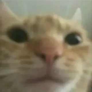 @hollow_white's pack 5 - СМС