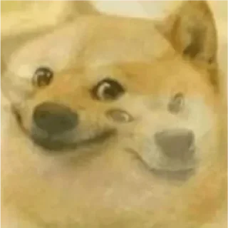 Sticker Gauravs kang pack - 8