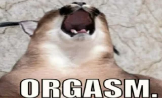 Sticker Rуūko :зs kang pack - 10