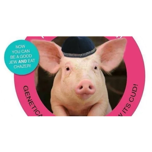 Sticker a237e2c1_8450_4e0f_a0d9_dc470ff9d1d9_by_sticat_bot - 1