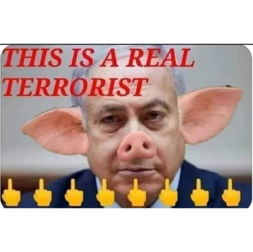 Sticker a237e2c1_8450_4e0f_a0d9_dc470ff9d1d9_by_sticat_bot - 1