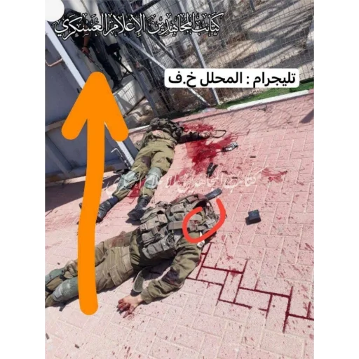 Sticker a237e2c1_8450_4e0f_a0d9_dc470ff9d1d9_by_sticat_bot - 1