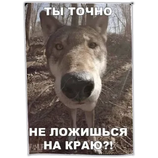 Стикер уе 😎 - 1