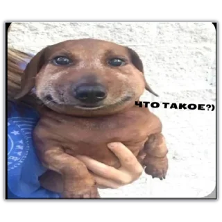 Стикер уе 😎 - 3