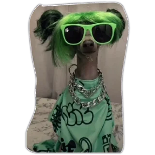 Стикер уе 😎 - 5