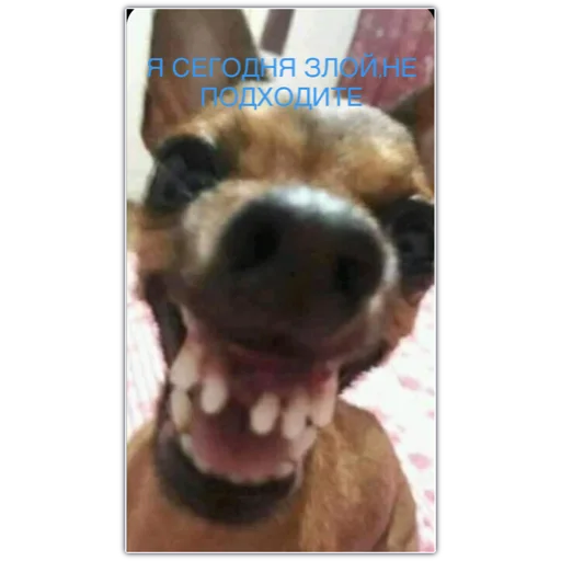 Стикер уе 😎 - 4