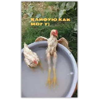 Стикер уе 😎 - 2