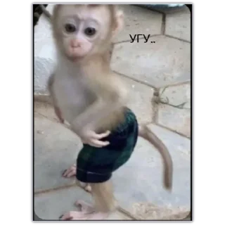 Стикер уе 😎 - 6