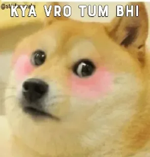 Стикер 𝘍𝘪𝘳𝘴𝘵𝘭𝘺 ᴏᴛᴀᴋᴜ ᴼᵗᵃᵏᵘ ᴱᵈᵍᵉ √s kang pack 2 - 10