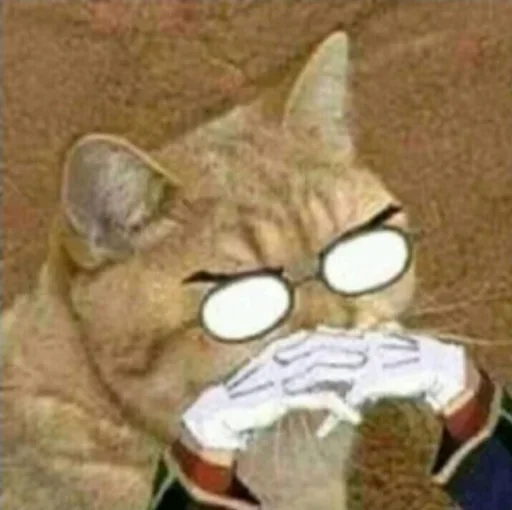 животное млекопитающее кошка