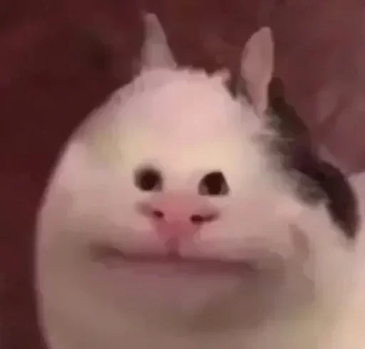 Sticker @Eugeneeyy's pack 1 - 11