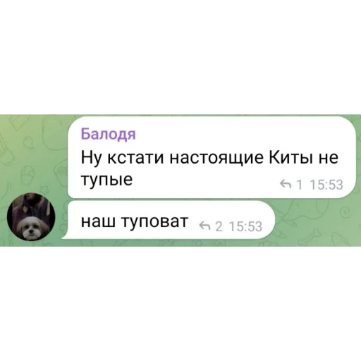 Sticker a380cbdf_62e6_47ef_9981_e157ffd01fd5_by_sticat_bot - 1