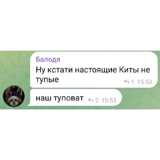 Sticker Pasha Pidor - 3