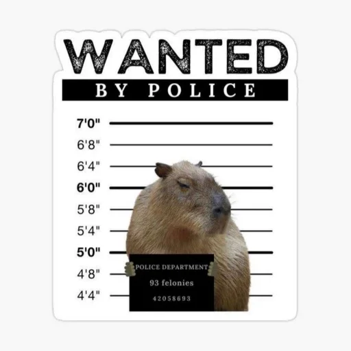 Стикер a3e62a7c_a47e_4be4_8c5f_cbcbfa3a889f_by_sticat_bot - 1