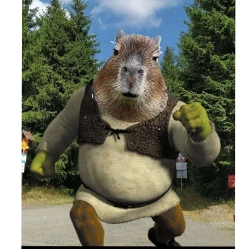 Стикер a3e62a7c_a47e_4be4_8c5f_cbcbfa3a889f_by_sticat_bot - 1