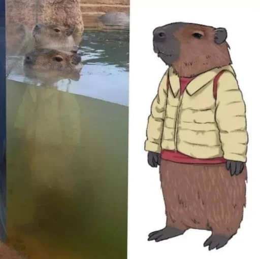 Стикер a3e62a7c_a47e_4be4_8c5f_cbcbfa3a889f_by_sticat_bot - 1