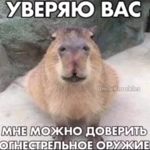 Стикер a3e62a7c_a47e_4be4_8c5f_cbcbfa3a889f_by_sticat_bot - 1