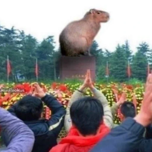 Стикер a3e62a7c_a47e_4be4_8c5f_cbcbfa3a889f_by_sticat_bot - 1