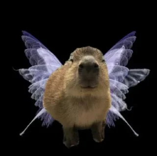 Sticker Капибары - 11