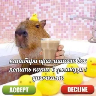 Sticker Капибары - 2