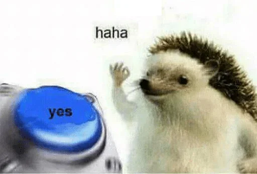 @Yasirsiddiqui's userbot pack - 