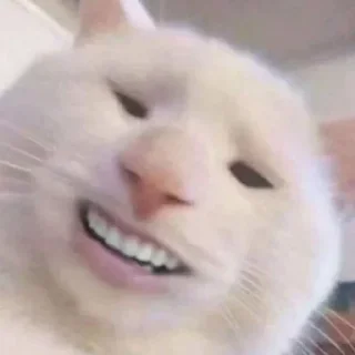 Sticker @Yasirsiddiqui's userbot pack - 5