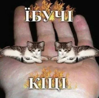 Sticker попа 2.0 - 9