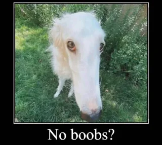 Sticker попа 2.0 - 4