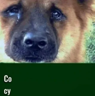 Sticker попа 2.0 - 3