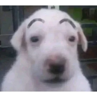 Sticker Michel Steal Pack - 8