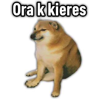 Sticker Michel Steal Pack - 4