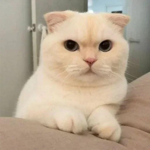 Sticker @dprosan's pack 2 - 10