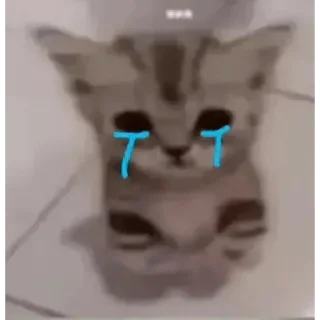 Sticker @isra_sus Steal Pack - 7