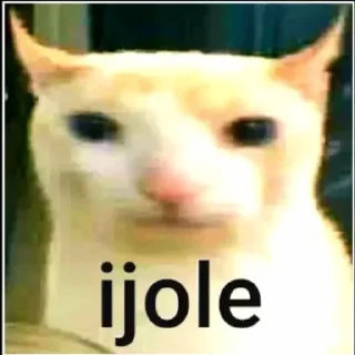 Sticker @isra_sus Steal Pack - 3