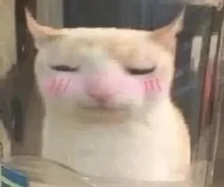 Sticker @isra_sus Steal Pack - 5