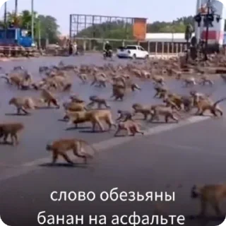 Sticker СД 
сд @RealISmeS - 11